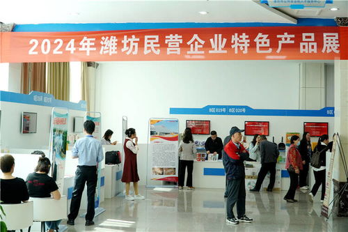 100家企業(yè)提供就業(yè)崗位2000余個 2024年濰坊市百強民營企業(yè)人才交流大會舉行