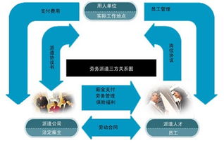 社會保障事務代理價格 社會保障事務代理型號規(guī)格